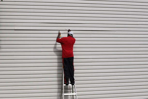 Best Brick Veneer Siding  in Cactus Flats, AZ