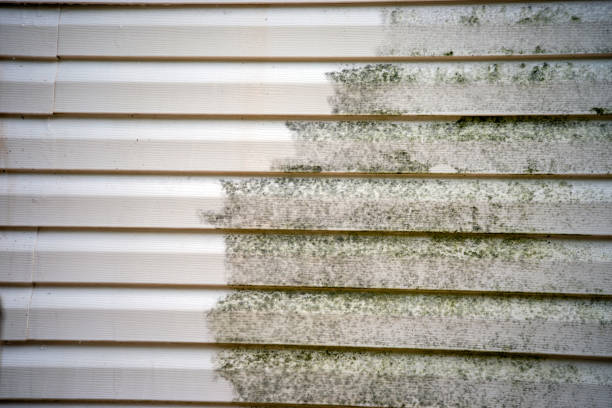 Reliable Cactus Flats, AZ Siding Installation & Repair Solutions