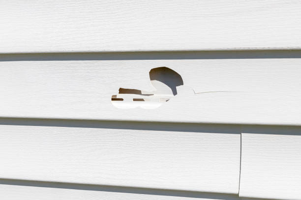 Best Composite Siding  in Cactus Flats, AZ