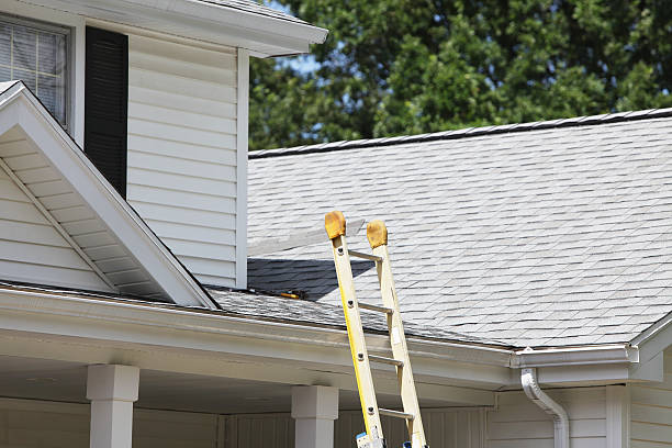Best Siding Painting and Refinishing  in Cactus Flats, AZ